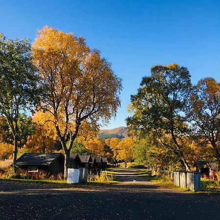 Og As * 소르틀란