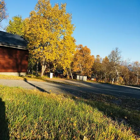 Og As * 소르틀란