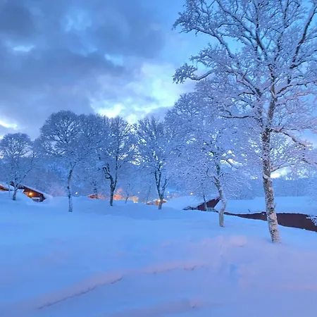 Og As Camping Sortland