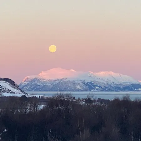 Og As Kemping Sortland