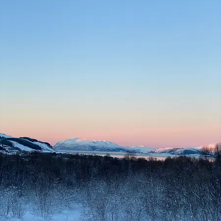 Og As 캠프장 소르틀란